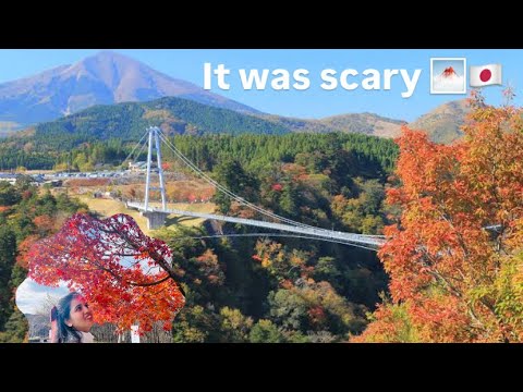 It was scary 😧| Longest pedestrian bridge in Japan 🌁 #scary #adayinmylifevlog #indianinjapan