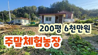 (소형토지)농막!! 새말ic5분 주말체험농장(농막)# 횡성싼토지 #횡성부동산# 횡성전원주택  #농막 #소형토지#급매물