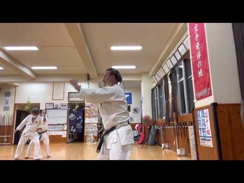 Uechiryu Seiryū Kata segments practiced 上地流型十六研究中 #karate #okinawa #空手 #沖縄 #上地流 #uechiryu