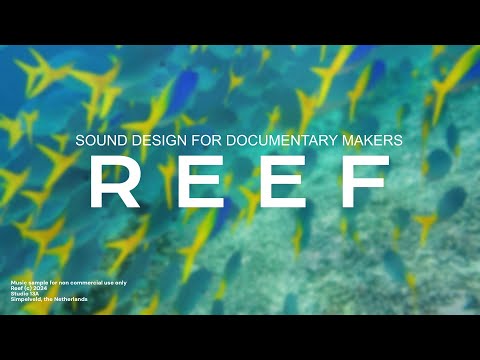 Reef - Sound Design for Documentary Makers