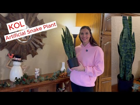 KOL Artificial Snake Plant, realistic and pretty #artificialplants #snakeplant #fakeplants