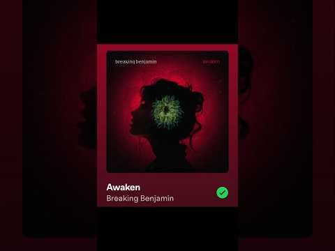 Breaking Benjamin Awaken Reaction!