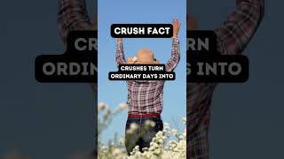 Crush Chronicles: Turning Ordinary into Enchanting