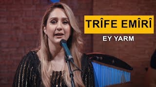 Trîfe Emîrî - Ey Yarm (Kurdmax Acoustic)