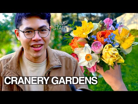 Jump Start Flower Garden in February With Me