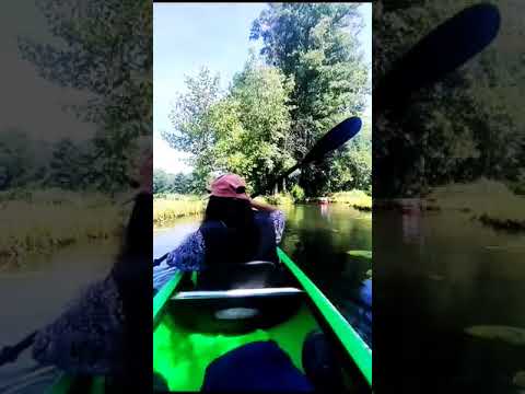 Kayaking | Spreewald Germany #kayak #berlin #summer #trending #viral #europe #rowing