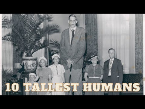 Top 10 TALLEST PEOPLE in the World