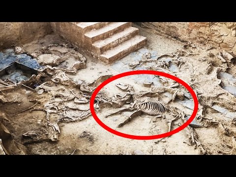 12 Most Amazing Finds That Scare Scientists