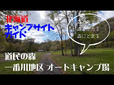 道民の森 一番川地区 オートキャンプ場／北海道キャンプ場ガイド