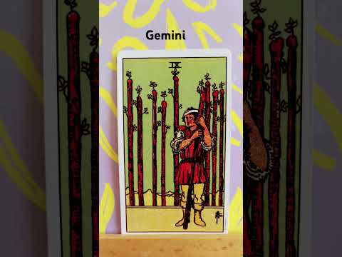 Gemini / You have so many options #tarot #gemini