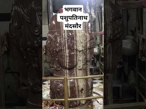 पशुपतिनाथ महादेव मंदसौर।।Mandsaur Pashupatinath Mahadev। #Pgminfo