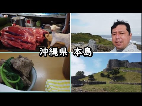 【沖縄県本島】おっさん一人旅。世界遺産にクチコミ1000件以上のスポット。ヤギさしみに骨汁などの沖縄料理に大満足の7泊8日69446円。