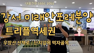 강서구청앞 미래안포레오피스텔분양 1666-1061