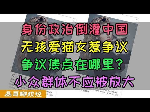 无孩爱猫女惹争议？到底是不是攻击女性？身份政治倒灌中国惹争议，小众群体爱好可以被放大吗？