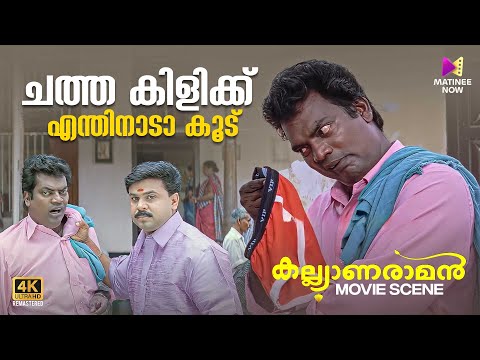 ചത്ത കിളിക്ക് എന്തിനാടാ കൂട് | Kalyanaraman | 4K Remastered | Dileep | Navya | Salim Kumar