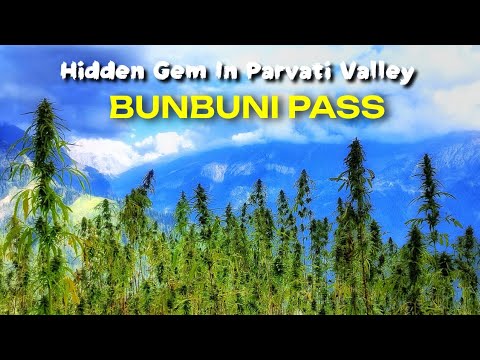 Visiting The Most Beautiful And Hidden Place In Kasol - BunBuni Pass Trek