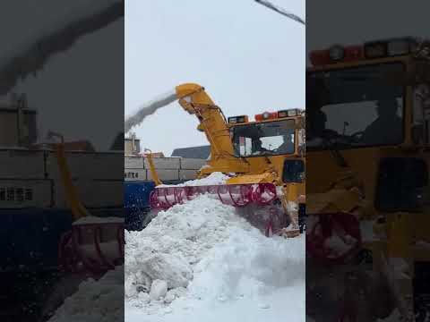 【札幌】大雪後の通学路の緊急除排雪、住宅街に大型重機が！【除排雪】再編集 #shorts