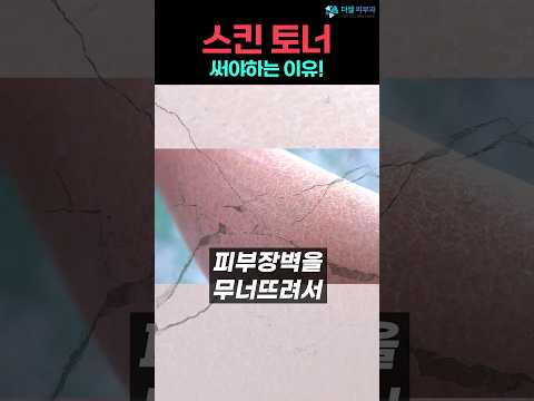 스킨토너의 역할과 피부장벽 회복!