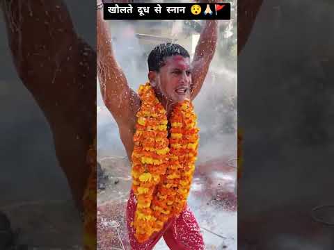 खौलते दूध से स्नान 😯🙏🏻 || Sangam bhagat karaha puja video ✨ || Baba kashidas karaha puja 🚩 #shorts