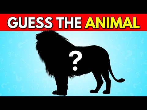 Guess The Animal by Shadow 🦁🦣 | Guess The Animal Quiz