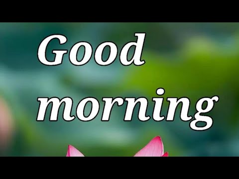 Ep-71/Good morning wishes with Beautiful images/Goodmorningvideostatus.subscribe @smilingthulasi3686