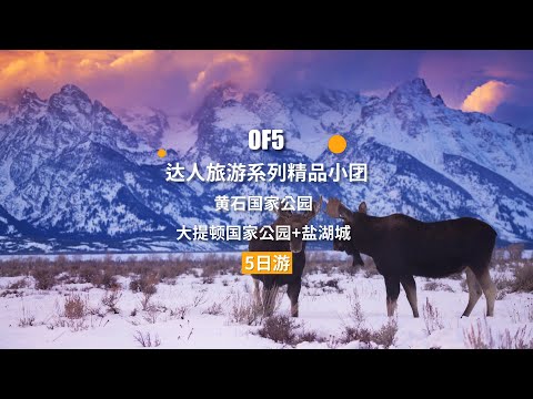 全球独家|住进黄石心脏——老忠实木屋