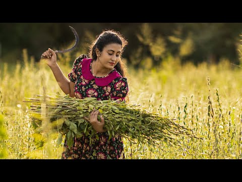 Sesame harvest!!! With a Variety of SESAME OIL Recipes 🍜 | Traditional Sri Lankan Food