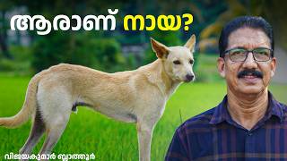 നായ മനുഷ്യന്റെ നായകരായത് How Wolf Became Dog  #dog #domesticdog #നായ #pets #wolf #animals #facts