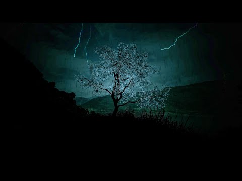 Relax to Heavy Rainstorm and Nonstop Thunder Sounds | My nature sounds experience for deep sleep