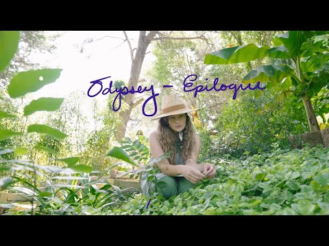 Hollyn | Odyssey - Epilogue (Indie Pop Songwriter Official Music Video)