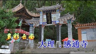 【云南】大理感通寺,两棵古茶树见证寺院的兴衰。Guantong Temple in Dali, Yunnan, China.大理市の玄通寺。달리, 윈난, 중국의 간통 사원.