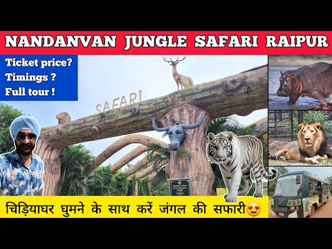 Raipur jungle safari - nandanvan raipur jungle safari | Nandan van raipur zoo raipur jungle safari