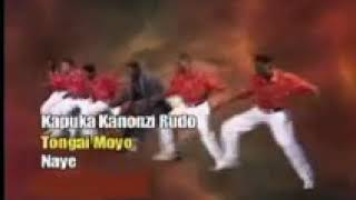 Tongai Moyo---Kapuka kanonzi Rudo