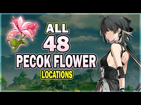 All 48 Pecok Flower Locations in Wuthering Waves - Efficient Farming Route