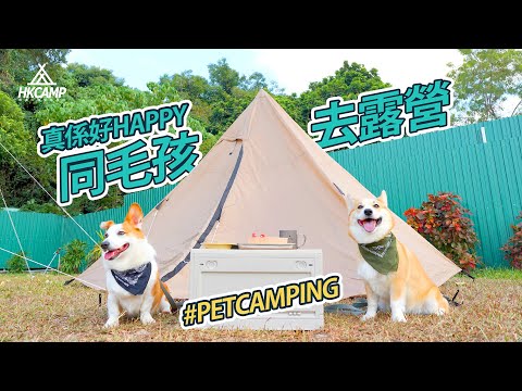 【露營資訊】露營與毛孩！Pet Pet也Camping～