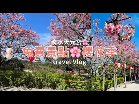 『 旅遊Vlog 』｜免費景點櫻花季🌸｜櫻花盛開的季節｜淡水天元宮｜隱藏版櫻花景點二子坪｜