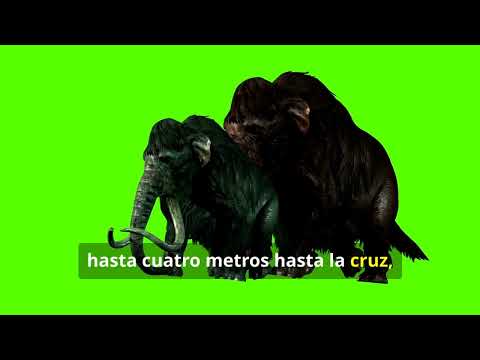 Cómo  eran los Mamut que vivieron en Nicaragua.