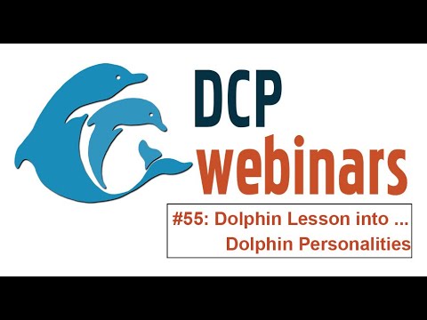 DCP Dolphin Lesson: Dolphin Personalities