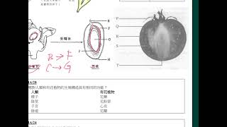 概念重溫篇：第12課（9）  花受精後的變化