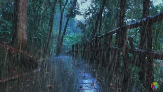 ✅Rain and thunder sounds of beautiful woods, healing soothing thunderstorm sounds asmr, nature music