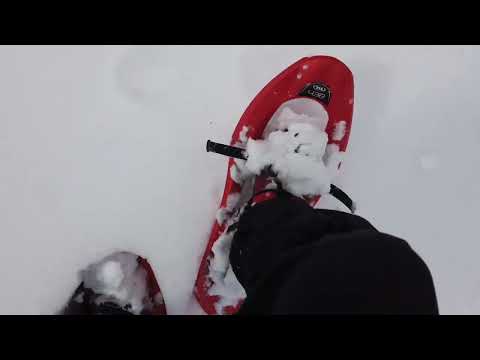 TSLスノーシュー　438 アップダウングリップ　使用レビュー動画  TSL snow shoes 438 Up&Down Grip review 2022