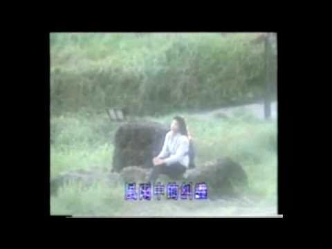 懷舊區 方麗盈 傷感雨天 黑膠版 1988 第二版