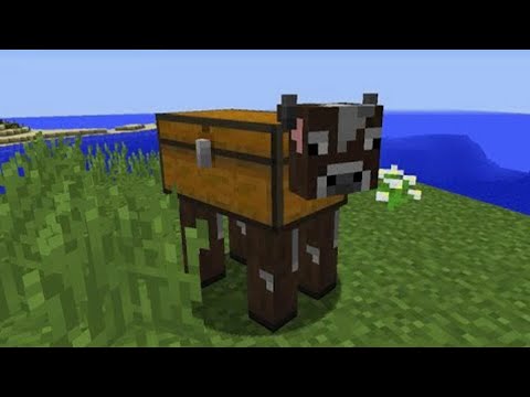 This Cursed Minecraft Short Video Will Trigger You