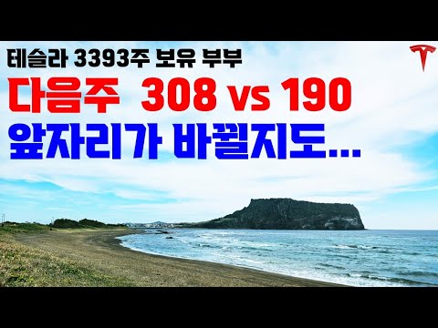 다음주에 테슬라의 미래 사업 프리미엄이 결정 됩니다! 매수는 이렇게 합니다.