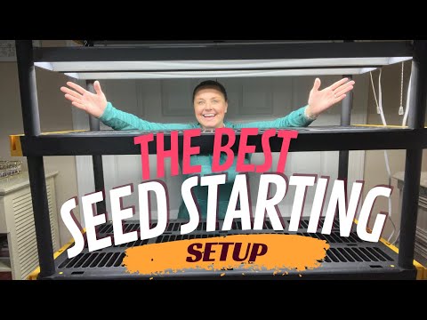 My INEXPENSIVE, DIY Seed Starting Setup Perfect For ANYONE!