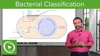 Bacterial Classification: Heterotrophs, Chemoautotrophs & Photoautotrophs – Microbiology | Lecturio