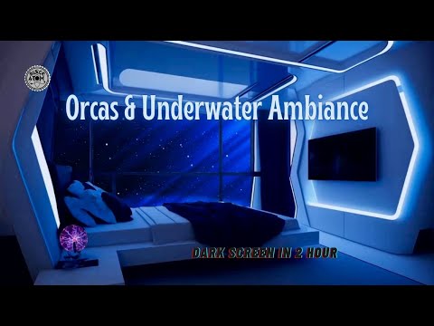 Orca Calls & Underwater Ambiance | Calming Ocean Sounds for Deep Sleep & Relaxation | 12 Hours