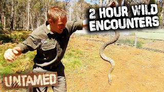 Wild Life Of Tim Faulkner -Season 2 Marathon 🐍 | Untamed Compilation