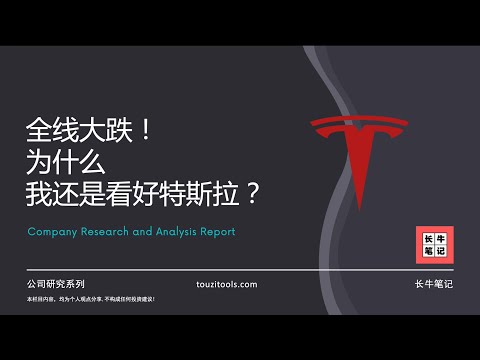 美股市场大跌！我为什么仍然看好特斯拉？TSLA Tesla 看多理由 风险因素