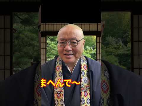 神社の初詣の参り方 マナー#shorts 　#初詣　#お正月